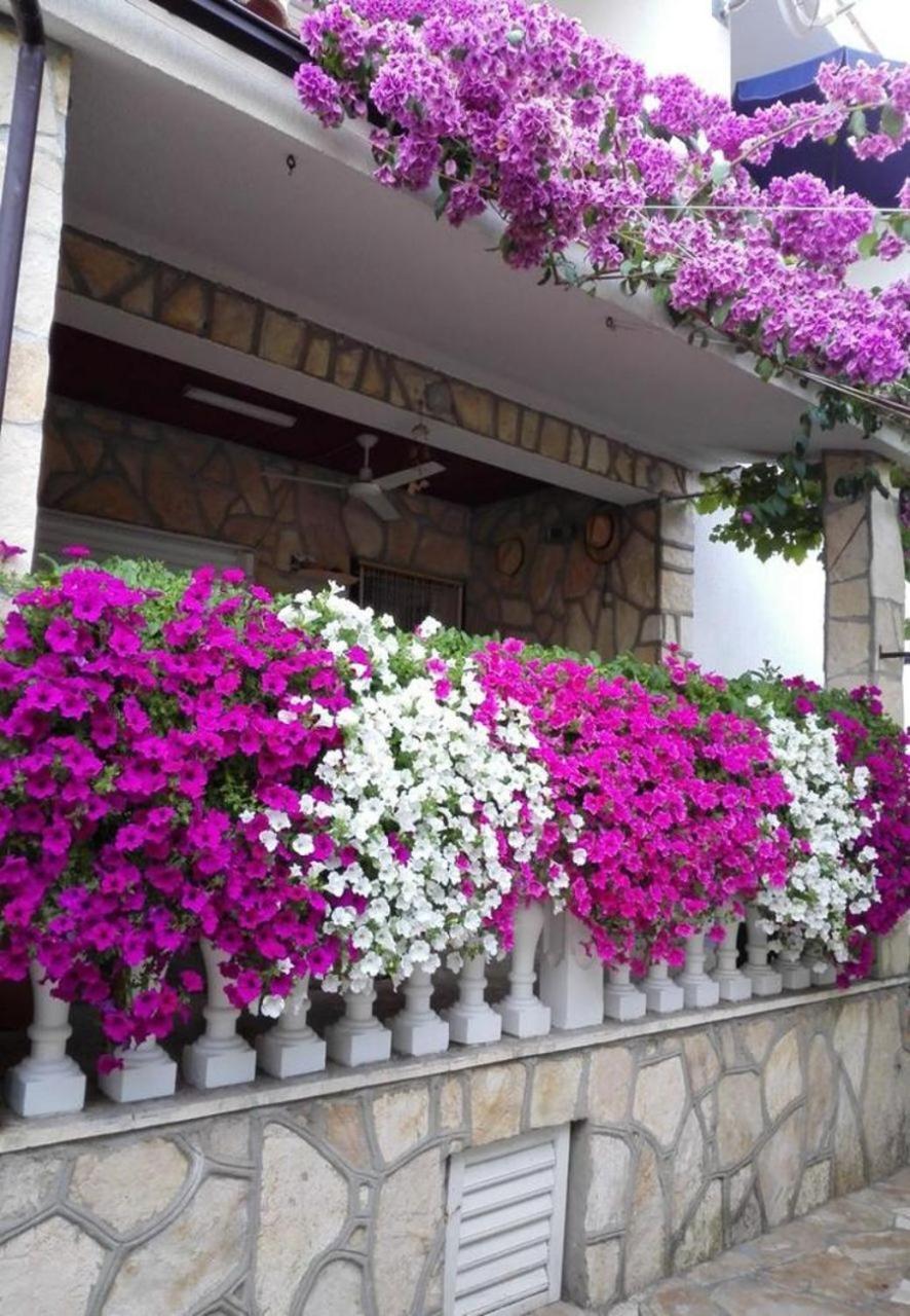 Apartments Dobri - 500M From Beach Nin Kültér fotó